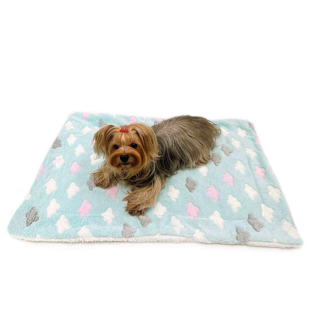 Ultra Plush Fluffy Clouds Blanket - S