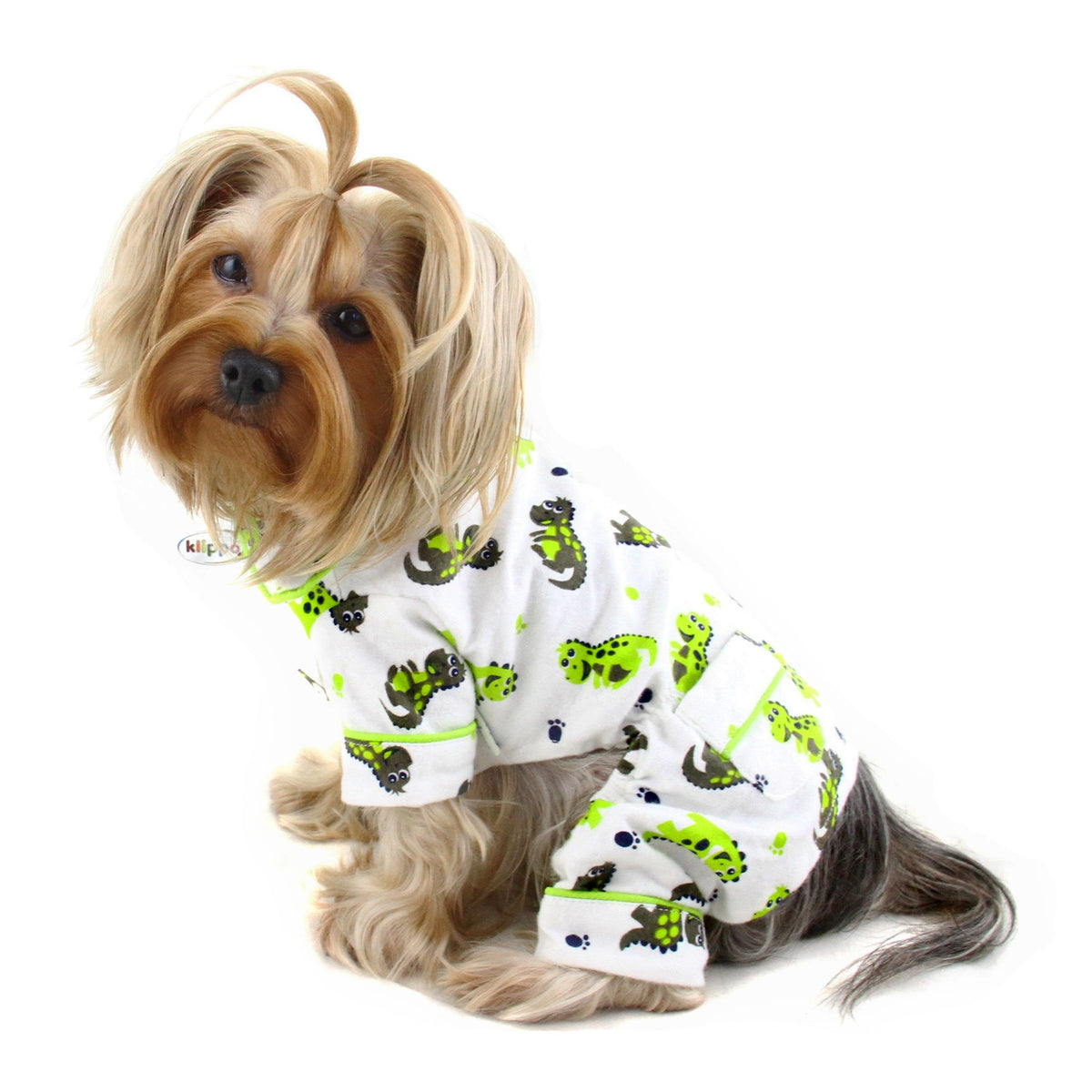Playful Dinosaur Flannel Pajamas - M