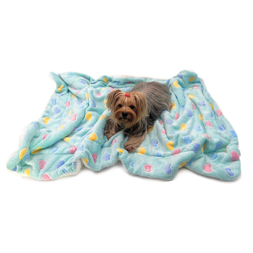 Ultra Plush Colorful Hearts Blanket - Blue - L