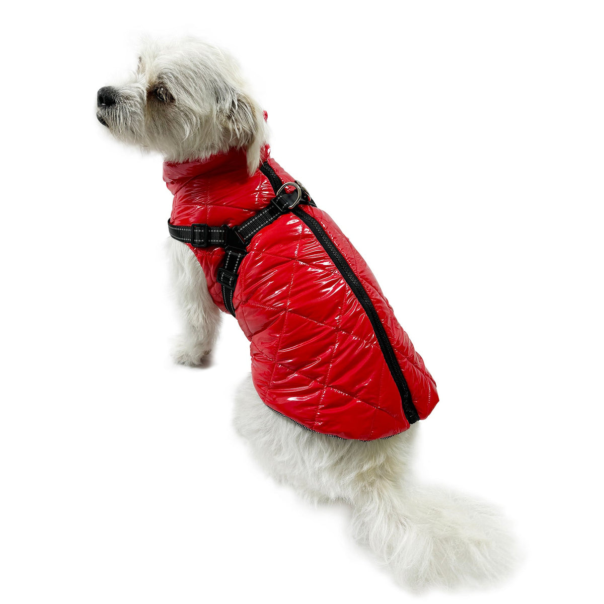Water Resistant Puffy Vest with Built-In Harness - Red - M