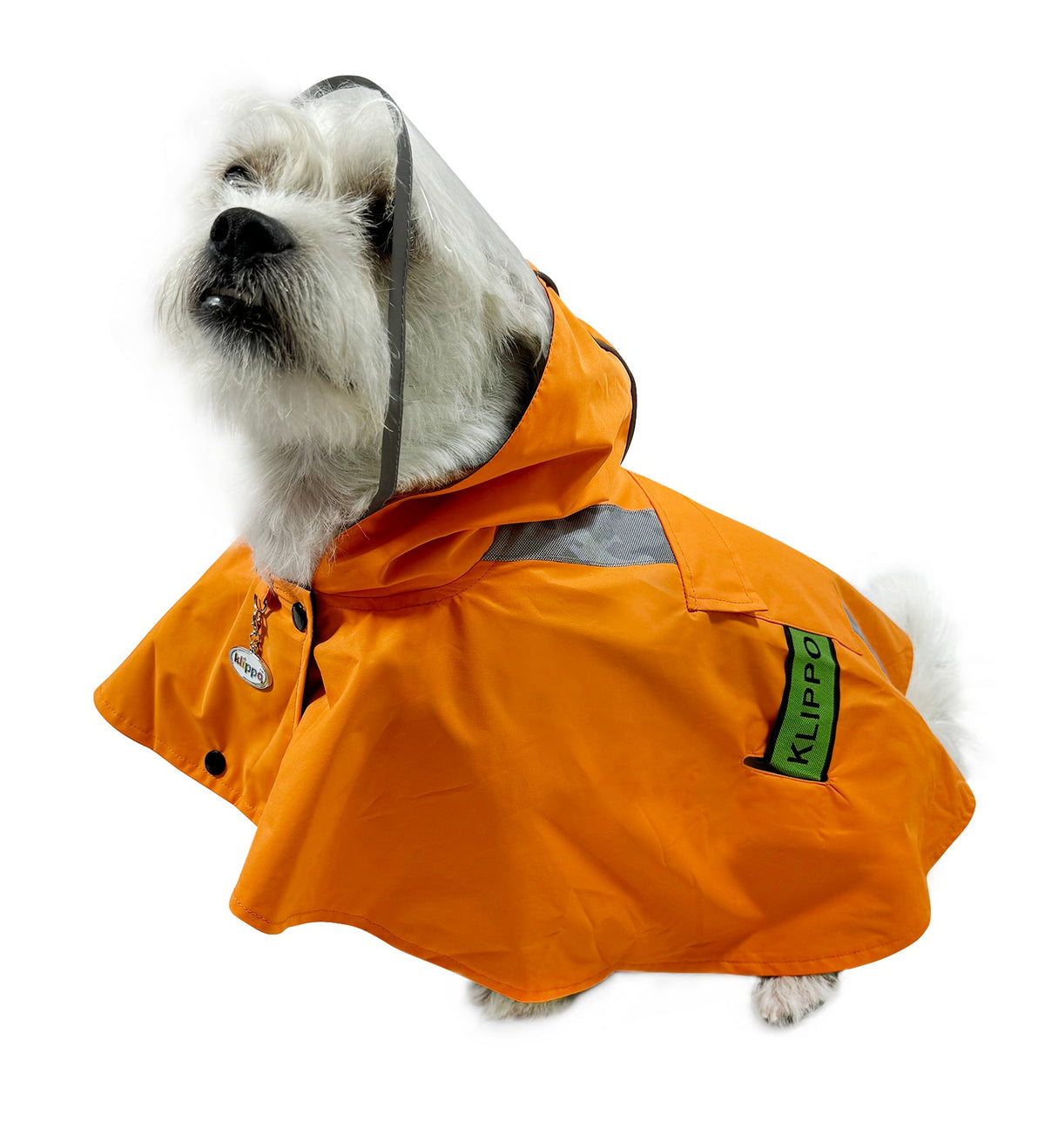 Clear View Poncho Raincoat with Reflective Stripes - M